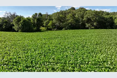 0  Hammer Rd, Sparta, WI 54656 - Photo 39