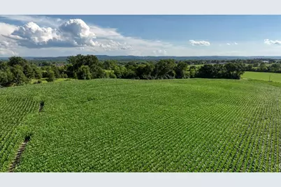 0  Hammer Rd, Sparta, WI 54656 - Photo 11