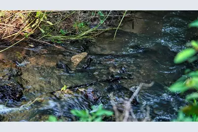 0  Hammer Rd, Sparta, WI 54656 - Photo 61