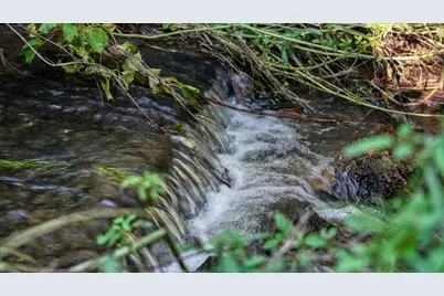 0  Hwy 16/Hamlet Ave, Sparta, WI 54656 - Photo 9