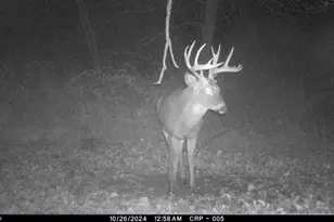 N2232 Peters Rd, Sharon, WI 53585 - Photo 65