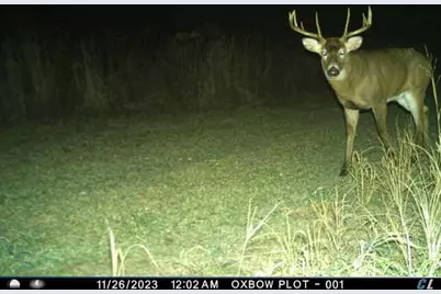 N2232  Peters Rd, Sharon, WI 53585 - Photo 43