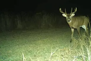 N2232 Peters Rd, Sharon, WI 53585 - Photo 43