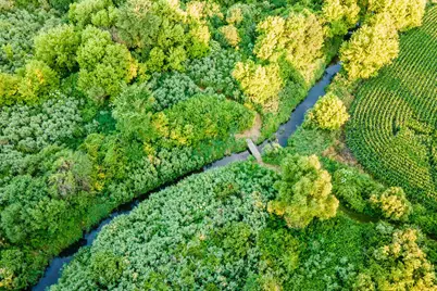 N2232  Peters Rd, Sharon, WI 53585 - Photo 55