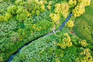 N2232 Peters Rd, Sharon, WI 53585 - Photo 55