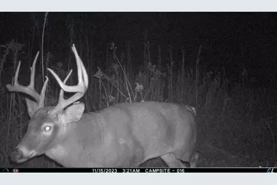 N2232  Peters Rd, Sharon, WI 53585 - Photo 49