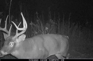 N2232 Peters Rd, Sharon, WI 53585 - Photo 49