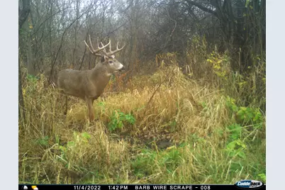 N2232  Peters Rd, Sharon, WI 53585 - Photo 5