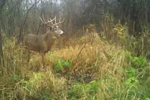 N2232 Peters Rd, Sharon, WI 53585 - Photo 5