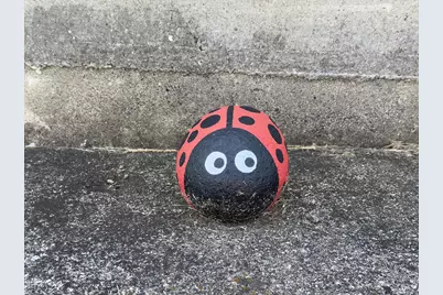 9258  State Road 76 -, Clayton, WI 54956 - Photo 83