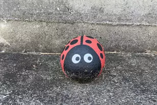 9258 State Road 76 -, Clayton, WI 54956 - Photo 83