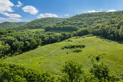 24334  County Rd 9 -, Homer, MN 55987 - Photo 43