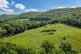 24334 County Rd 9, Homer, MN 55987 - Photo 43