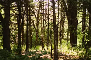 N3075 Hardscrabble Rd, Sullivan, WI 53118 - Photo 39