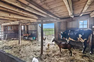 W5837 County Rd A, Sugar Creek, WI 53121 - Photo 15