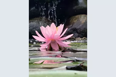 36415  Homer Valley Ln, Homer, MN 55987 - Photo 77