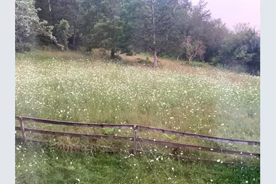 36415  Homer Valley Ln, Homer, MN 55987 - Photo 61