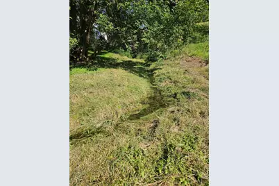 36415  Homer Valley Ln, Homer, MN 55987 - Photo 53