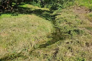 36415 Homer Valley Ln, Homer, MN 55987 - Photo 53