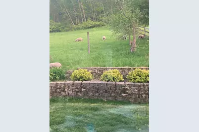 36415  Homer Valley Ln, Homer, MN 55987 - Photo 75