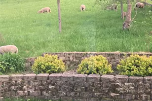 36415 Homer Valley Ln, Homer, MN 55987 - Photo 75