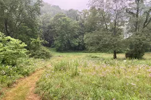 36415 Homer Valley Ln, Homer, MN 55987 - Photo 59