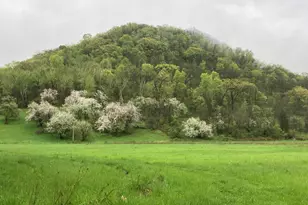 36415 Homer Valley Ln, Homer, MN 55987 - Photo 67