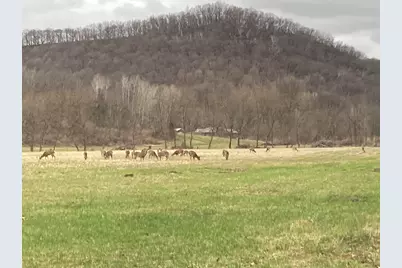 36415  Homer Valley Ln, Homer, MN 55987 - Photo 65