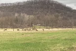 36415 Homer Valley Ln, Homer, MN 55987 - Photo 65