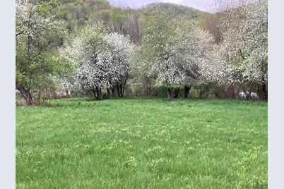 36415  Homer Valley Ln, Homer, MN 55987 - Photo 69