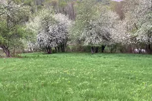 36415 Homer Valley Ln, Homer, MN 55987 - Photo 69