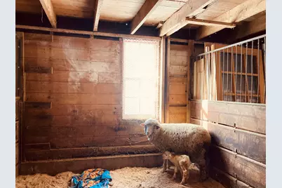 36415  Homer Valley Ln, Homer, MN 55987 - Photo 81