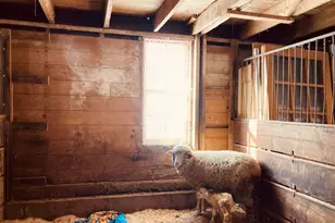 36415 Homer Valley Ln, Homer, MN 55987 - Photo 81