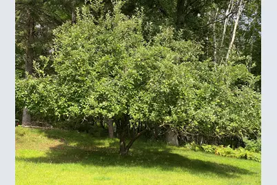 N12425  Freele Rd, Wausaukee, WI 54177 - Photo 25