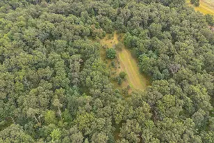 W12149 State Road 21 -, Coloma, WI 54930 - Photo 53