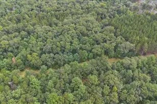 W12149 State Road 21 -, Coloma, WI 54930 - Photo 51