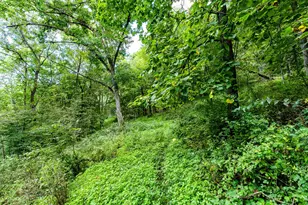 11565 US Hwy 18 -, Patch Grove, WI 53821 - Photo 53