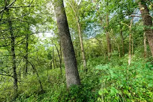 11565 US Hwy 18 -, Patch Grove, WI 53821 - Photo 49