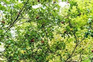 11565 US Hwy 18 -, Patch Grove, WI 53821 - Photo 47