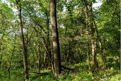 11565  US Highway 18 -, Patch Grove, WI 53821 - Photo 51