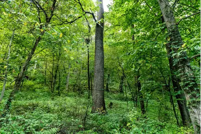 11565  US Highway 18 -, Patch Grove, WI 53821 - Photo 55