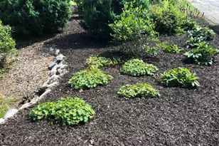 705 W Bradley Rd, River Hills, WI 53217 - Photo 55