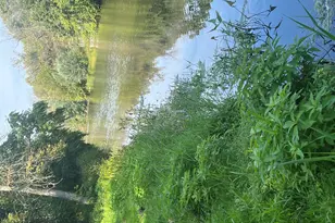 261 Riverwood Dr, Mishicot, WI 54228 - Photo 5