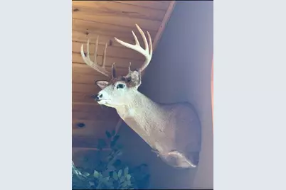 N8718  County Road Vv -, Farmington, WI 54644 - Photo 49