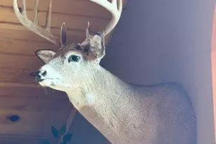 N8718 Co Rd VV, Farmington, WI 54644 - Photo 49