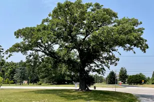 S54W25403 Pebble Brook Ct, Waukesha, WI 53189 - Photo 55