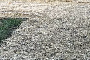 635 E Price Ave, Milwaukee, WI 53207 - Photo 33