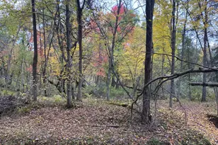 W902 Co Rd A, Burns, WI 54644 - Photo 47