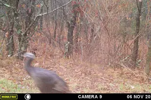 W902 Co Rd A, Burns, WI 54644 - Photo 53