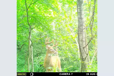 W902  County Road A -, Burns, WI 54644 - Photo 51